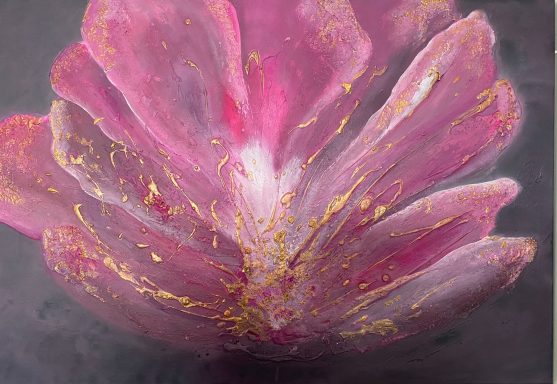Das Bild zeigt ein große geöffnete Blüte auf dunklem Hintergrund. Die Blütenblätter schimmern in dunklen und hellen Rosatönen und Gold.